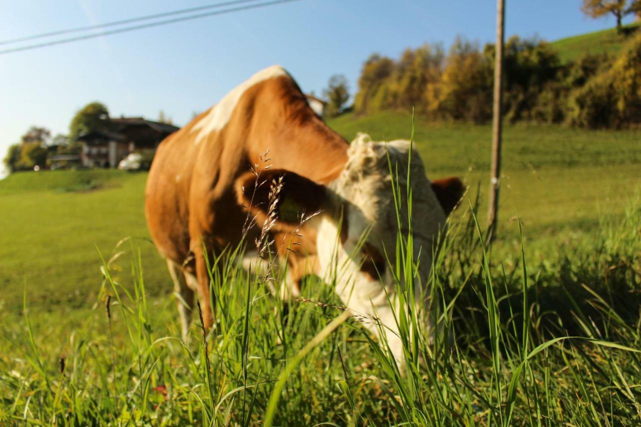Putzerhof Villa Siusi Bagian luar foto